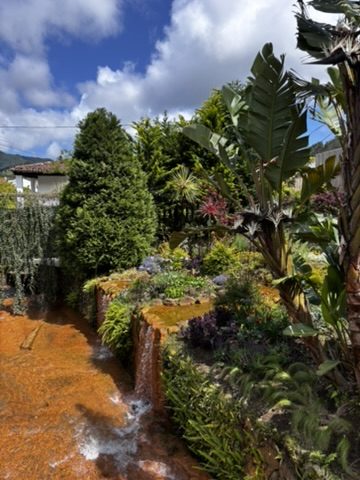 Azores furnas