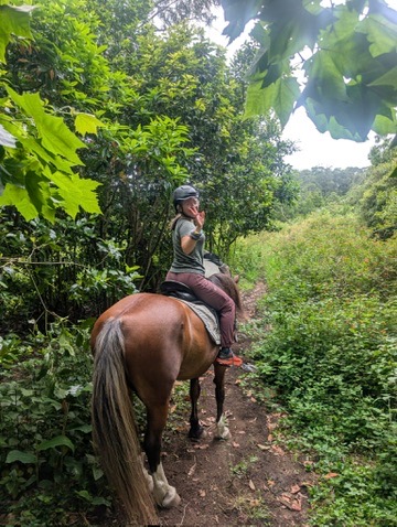 Anca riding a horse through the Azores countryside — ocean in the distance, hydrangeas lining the path