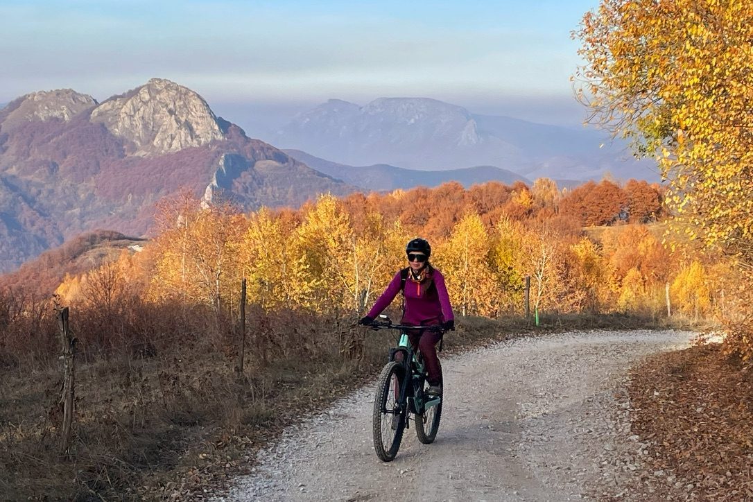 Orbea on autumn mountain road