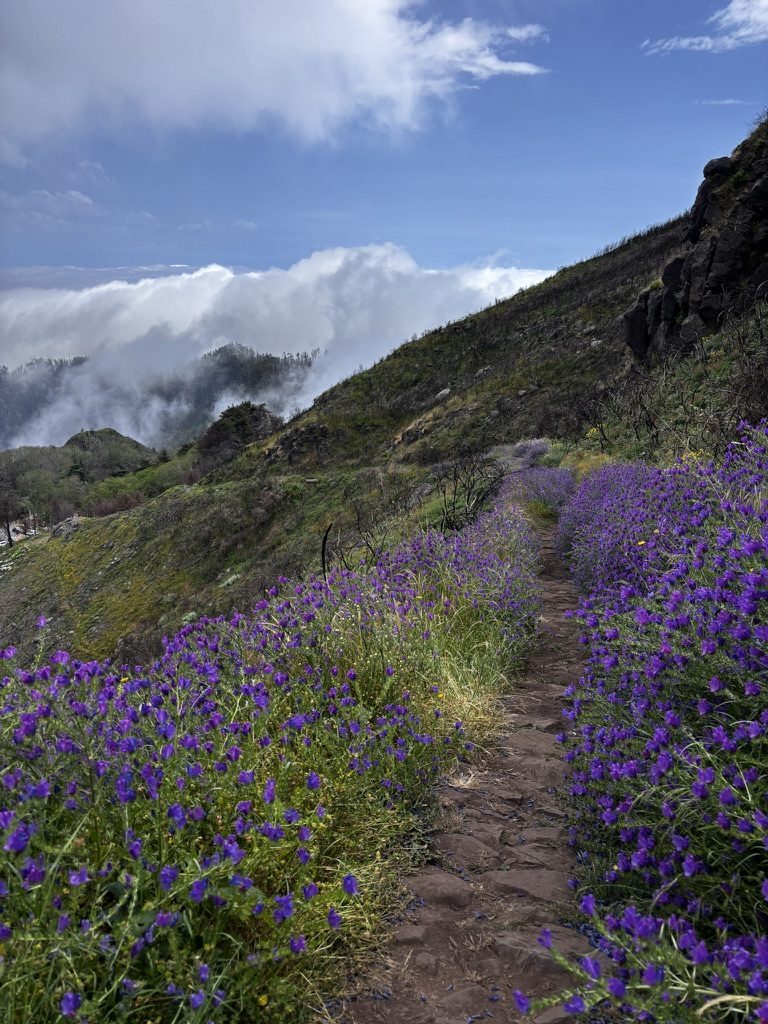 Madeira